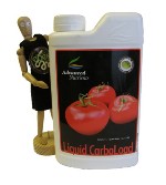 CARBOLOAD by Advanced Nutrients 